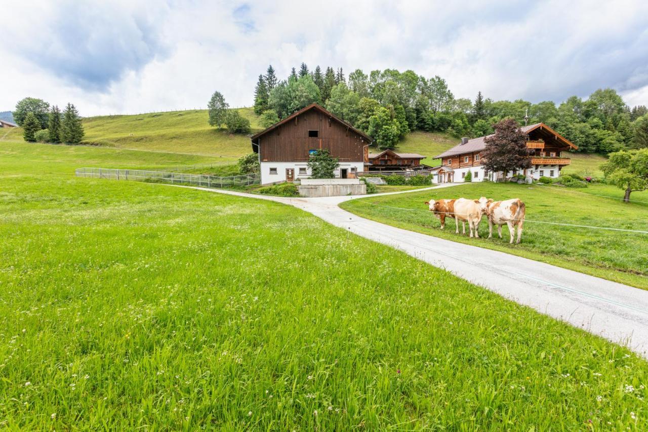 Ferienhaus Mittersill Am Biohof Widholz Zewnętrze zdjęcie