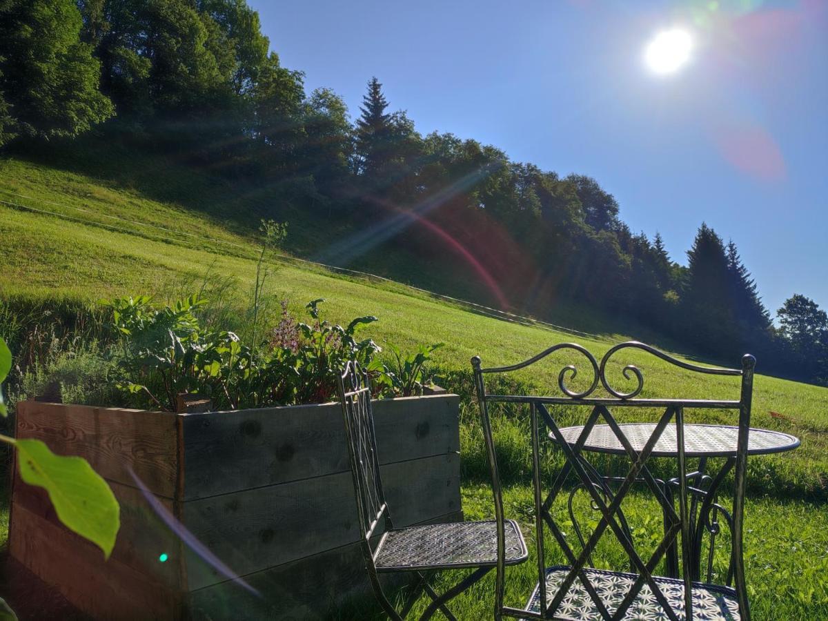 Ferienhaus Mittersill Am Biohof Widholz Zewnętrze zdjęcie